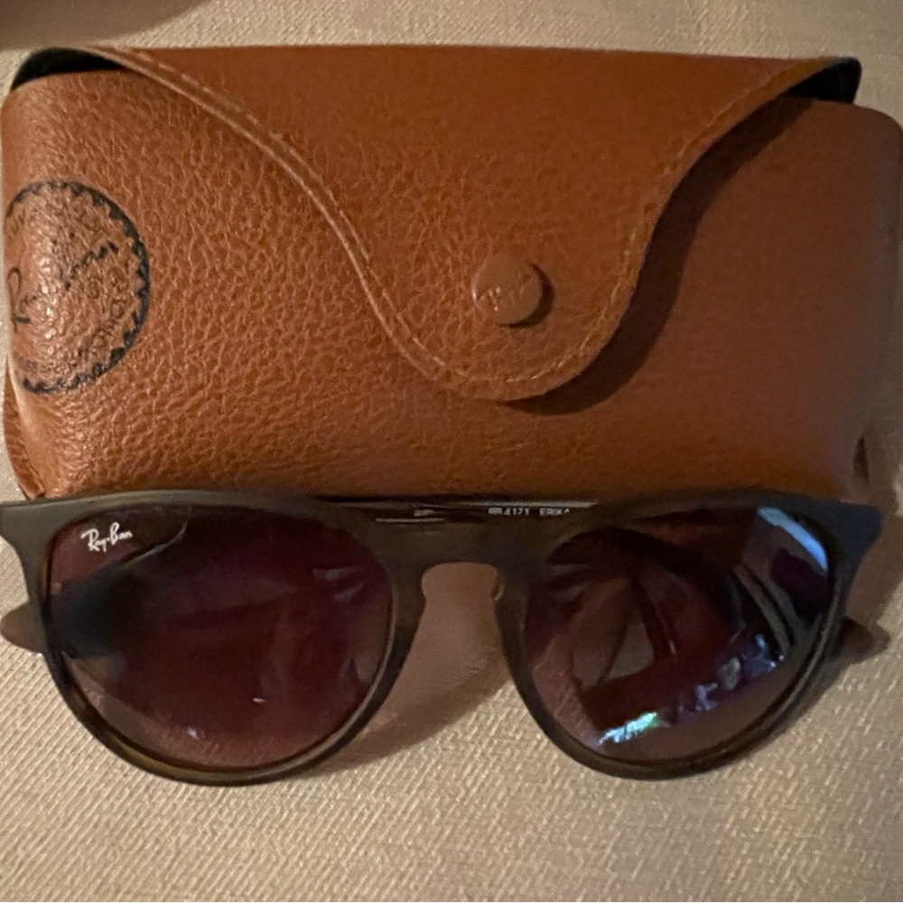 Ray Ban 4171 Erika classic Sunglasses